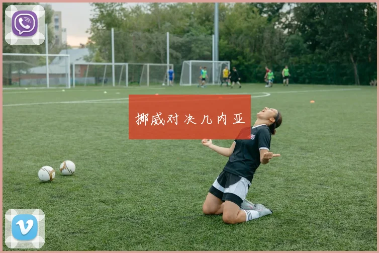 挪威对决几内亚