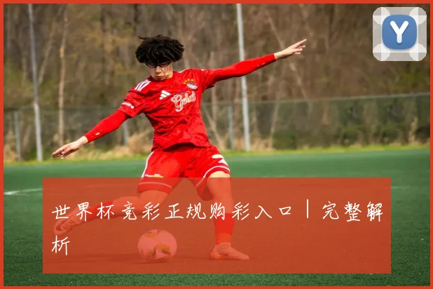 世界杯竞彩正规购彩入口｜完整解析