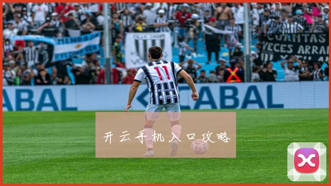 开云手机入口攻略