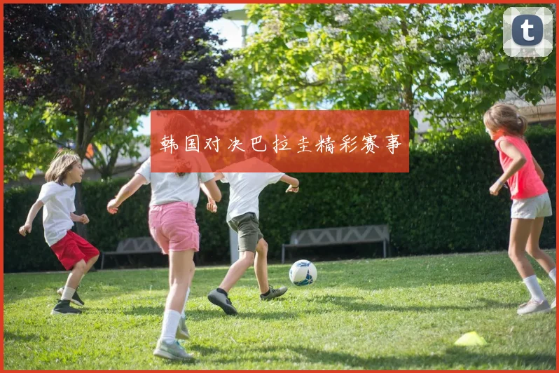 韩国对决巴拉圭精彩赛事