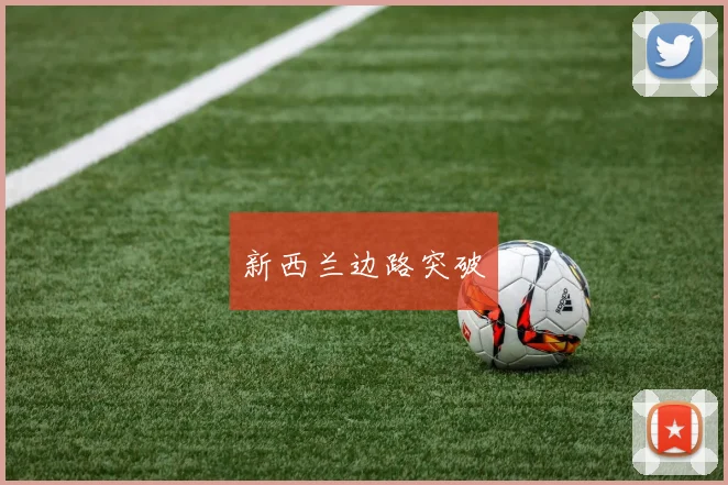 新西兰边路突破