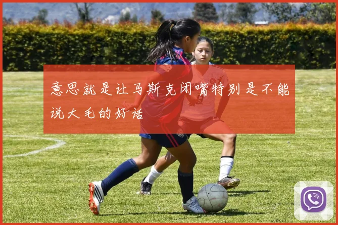 意思就是让马斯克闭嘴特别是不能说大毛的好话