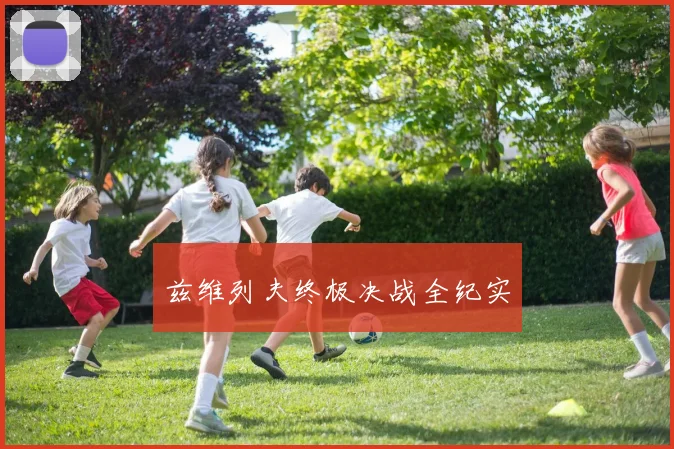兹维列夫终极决战全纪实