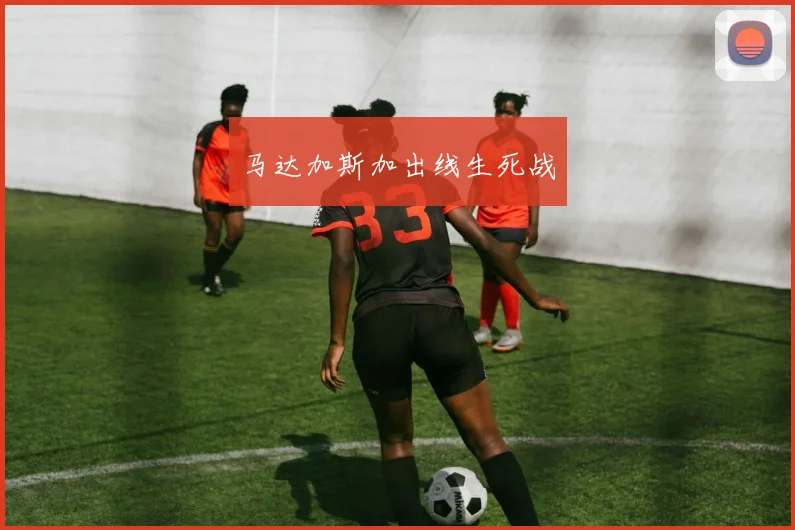马达加斯加出线生死战